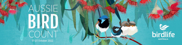 Banner image features an illustration of a family of Superb Fairy Wrens